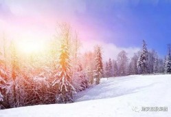 贵州雪景热点爆料新闻,冬日秘境引发热议