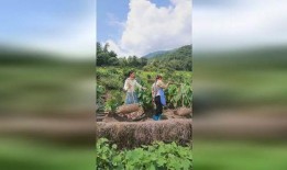 一亩三分地在线观看,揭秘农业科技发展之路