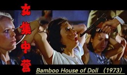 女集中营电影在线观看,悲歌岁月，抗争之光