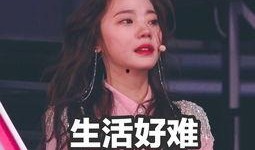 深夜免费吃瓜,揭秘娱乐圈幕后故事