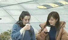 偶遇伦理在线观看,揭秘网络社交的道德边界