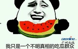 吃瓜大王是什么意思,网络热词背后的文化现象